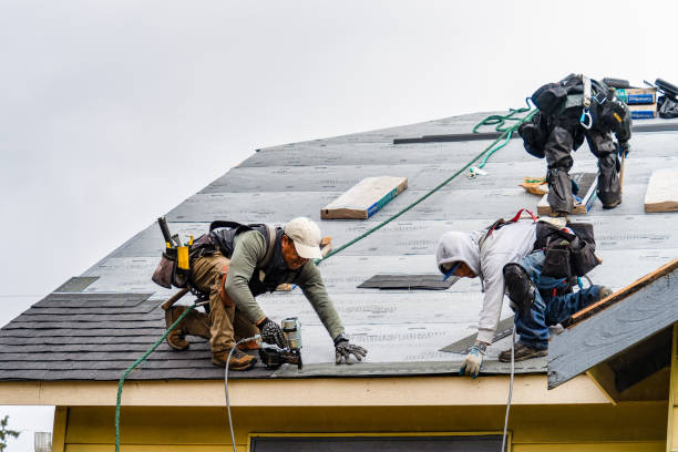 Professional Storm Damage Roof Repair technician working in Rockdale, TX